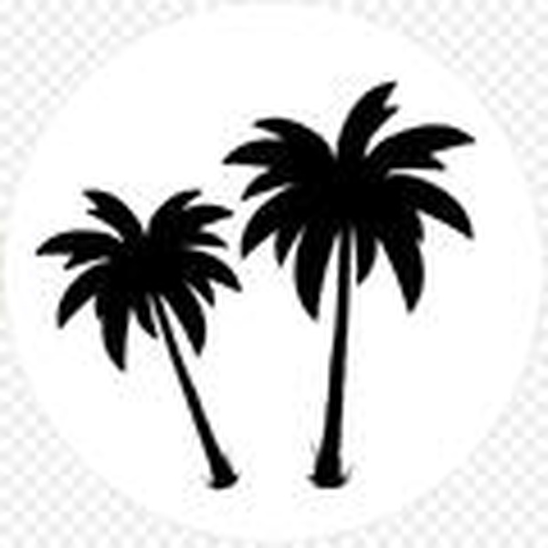 Palm FM Logo