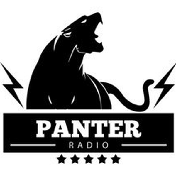 Panter Radio Kruševac Logo
