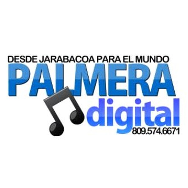 Palmera Digital Logo