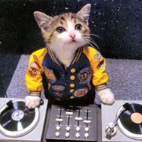 Philly Funk Radio Logo