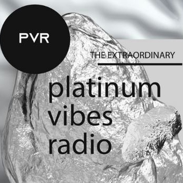 Platinum Vibes Logo