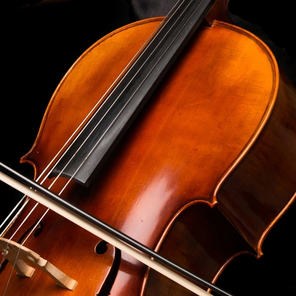 Radio Art - Violin Logo