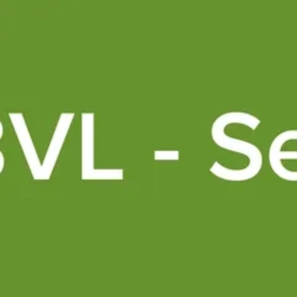 Radio BVL - Sertanejo Logo