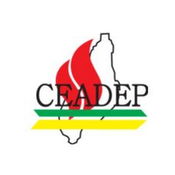 Rádio CEADEP Logo