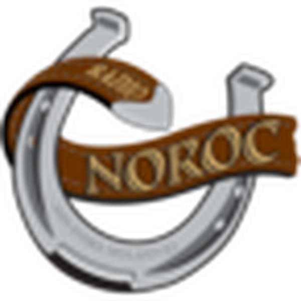 Radio Noroc Logo