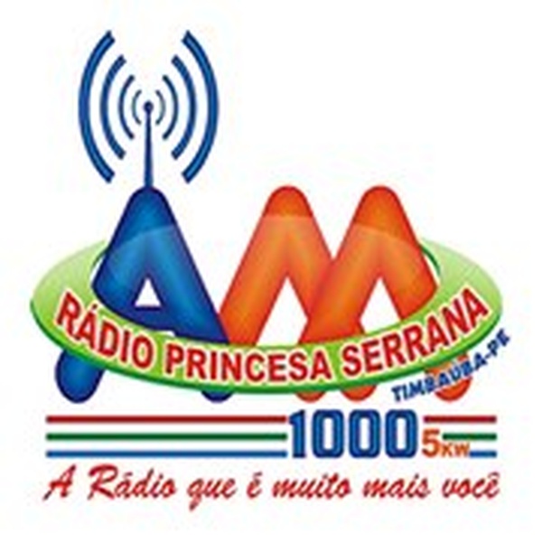 Rádio Princesa 1000 Logo