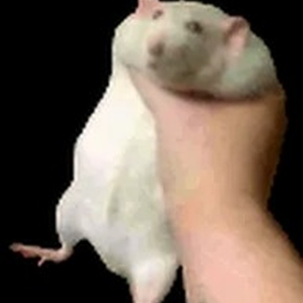 RatFM Logo