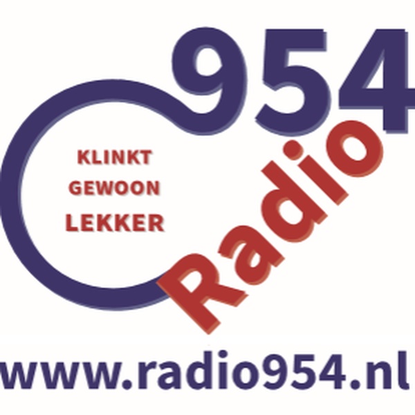 Radio 954 Logo