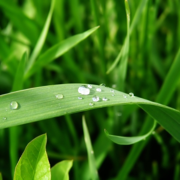 Radio Bodeh26Fm Logo