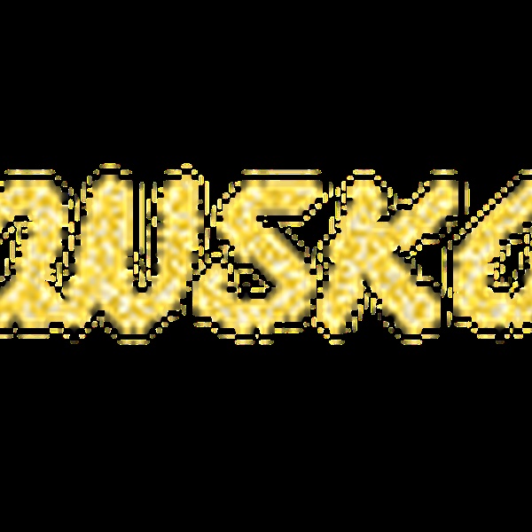 Radio Bosanska Posavina Logo