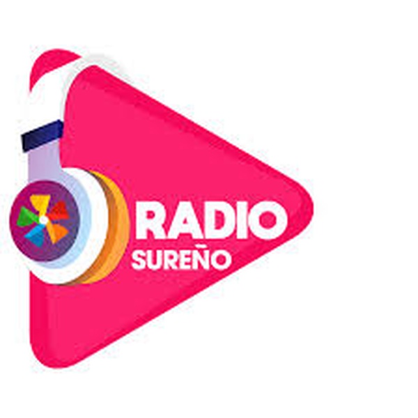 Radio DJ 105.1 fm Logo