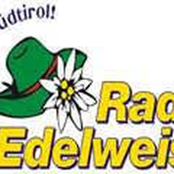 Radio Edelweiss 90.9 Logo