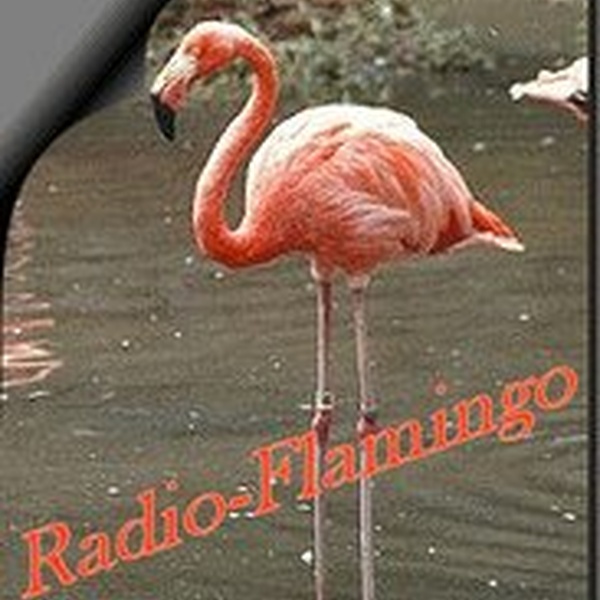Radio Flamingo Logo