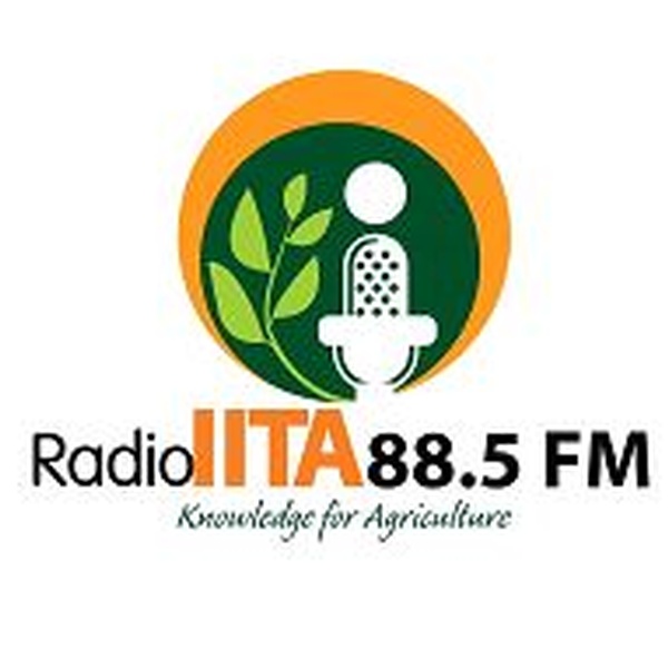 Radio IITA Logo