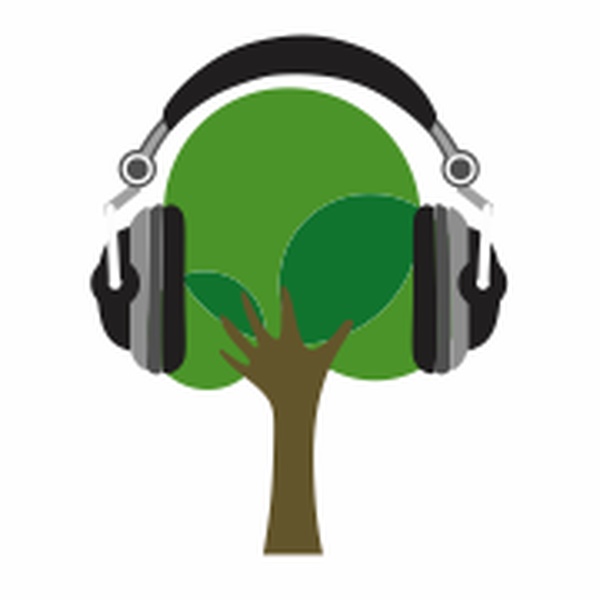Rádio Ingazeira AM Logo