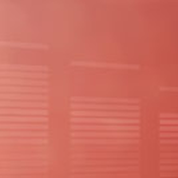 Radio Libertad 107.0 Logo