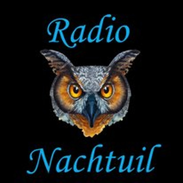 Radio Nachtuil Logo