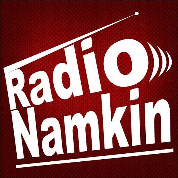 Radio Namkin Logo