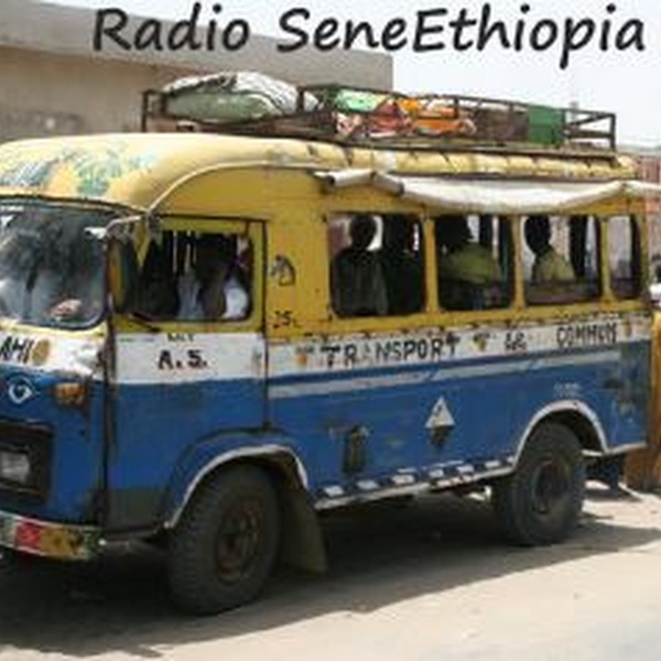 Radio SeneEthiopia Logo