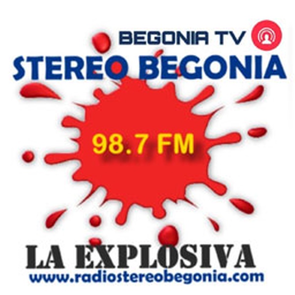 Radio Stereo Begonia Logo