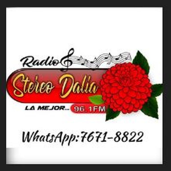 Radio Stereo Dalia Logo