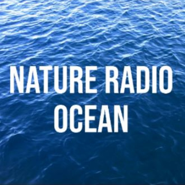 Radio Suite Network - Nature Radio Ocean Logo