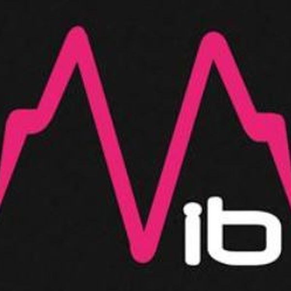 Radio Vibration Logo