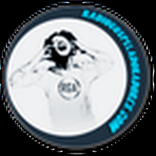 Rádio Web Gospel Adoradores Logo