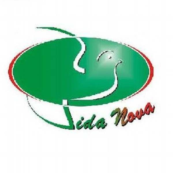 Rádio Web Vida Nova Logo