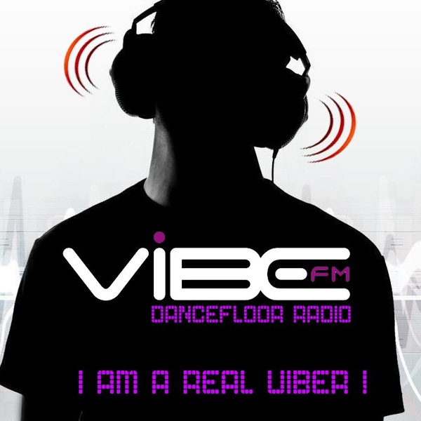 Radio Vibe FM Logo
