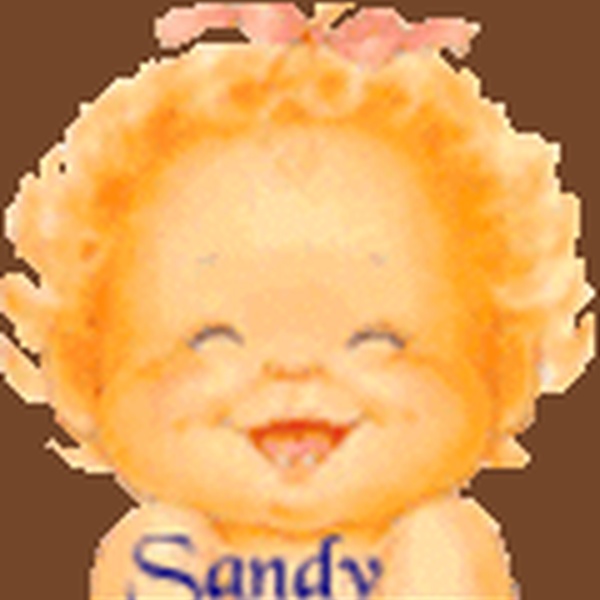 Sandys Musikwelt Logo