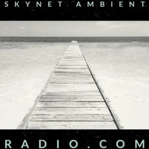 Skynet Ambient Radio Logo