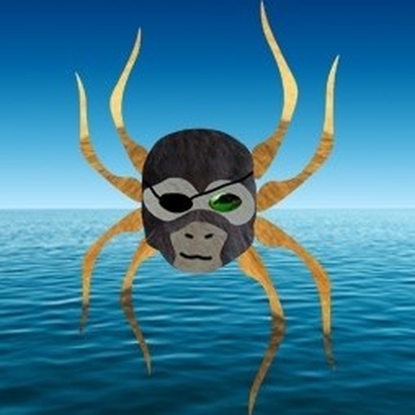 SpyderMonkey Shanty Radio Logo