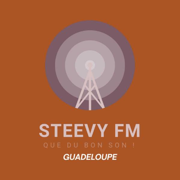Steevy FM Logo
