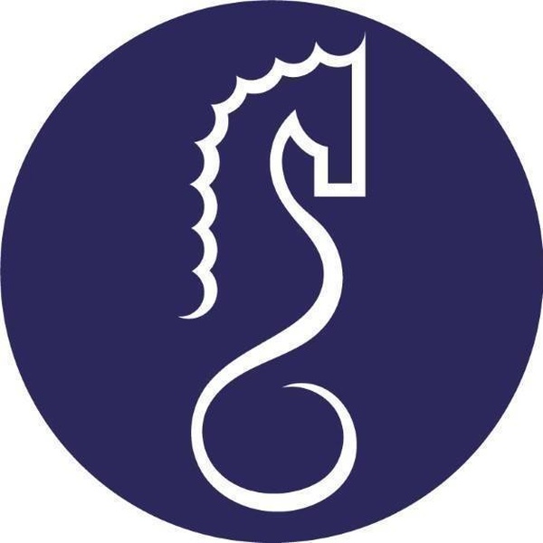 Santa Cecília FM Logo