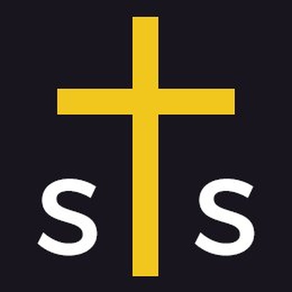 Save Souls Today (STS) Logo