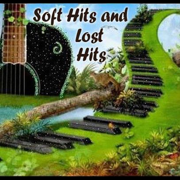 Soft Hits and Lost Hits Logo