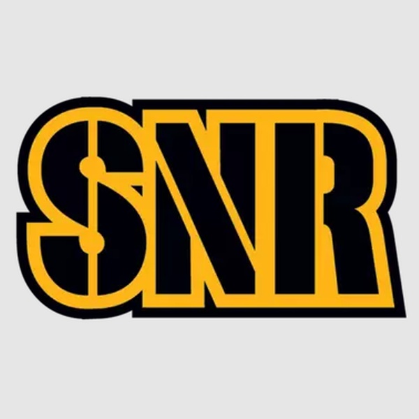 Steelers Nation Radio (SNR) - NFL Logo