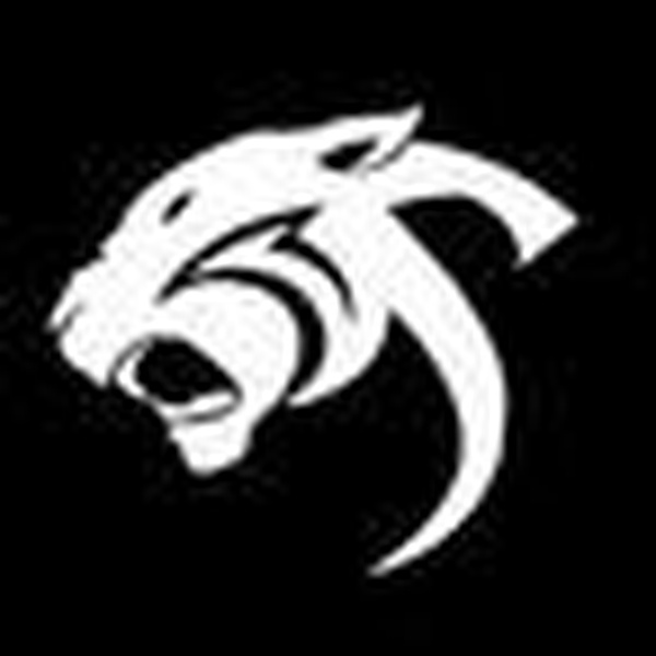 Stereo Salvaje Logo