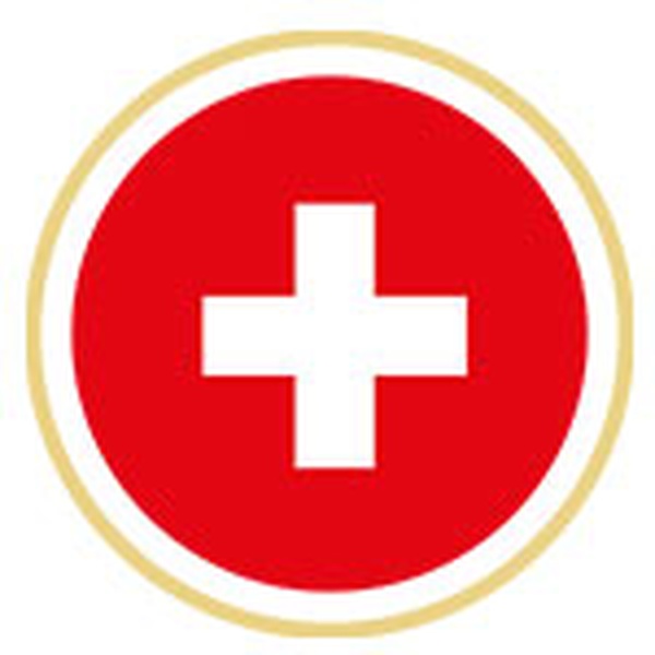 Swiss Art Radio Logo