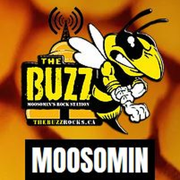 The Buzz Moosomin Logo