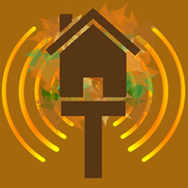 Treehouse Radio Logo