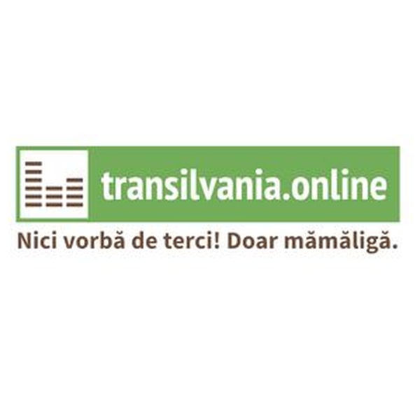 transilvania.online Logo