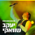 קול חי מיוזיק  - שוואקי Logo