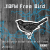 113FM Radio - Free Bird Logo