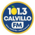 101.3 Calvillo FM Logo