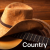 104.6 RTL - Country Logo