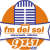 91.1 FM Del Sol Logo