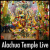 Alachua Temple Live Logo