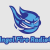 Angel Fire Radio - All Hit Angel Fire.FM Logo